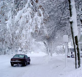 NWS Co-Op Observer Reports hero image